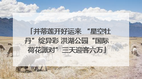 并蒂莲开好运来 “星空牡丹”绽异彩 洪湖公园“国际荷花派对”三天迎客六万
